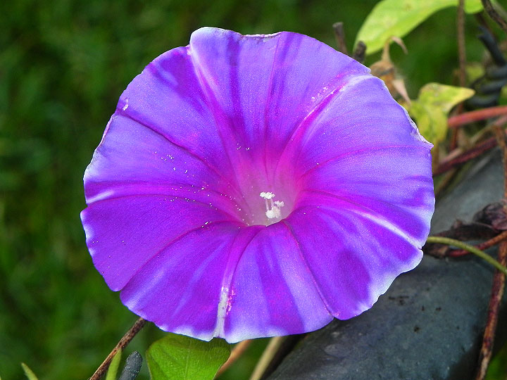 24-DSCN8378