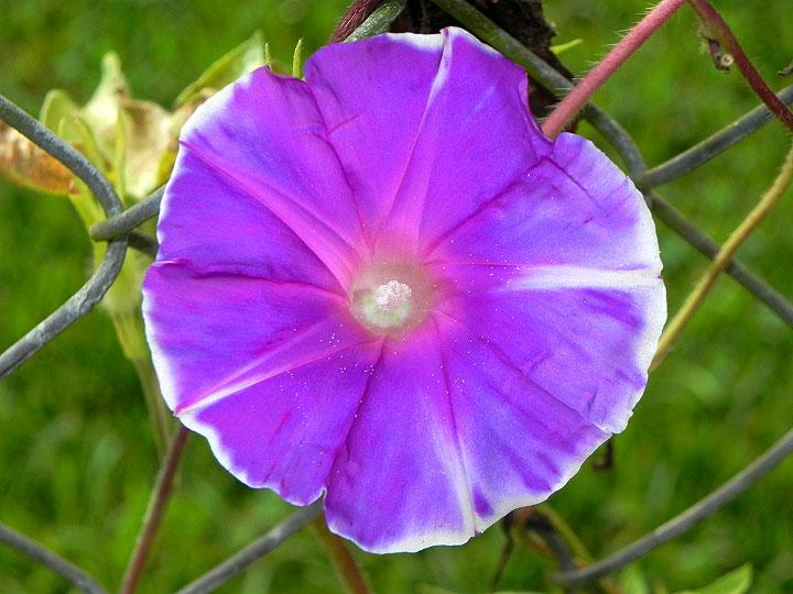 24-DSCN8572