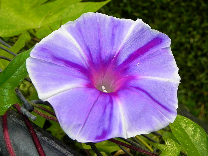 24-DSCN8630