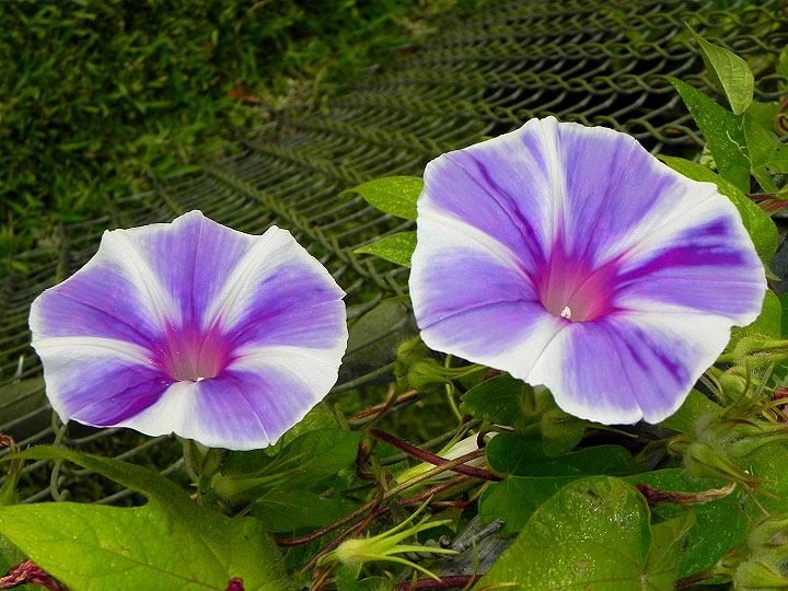 24-DSCN8633