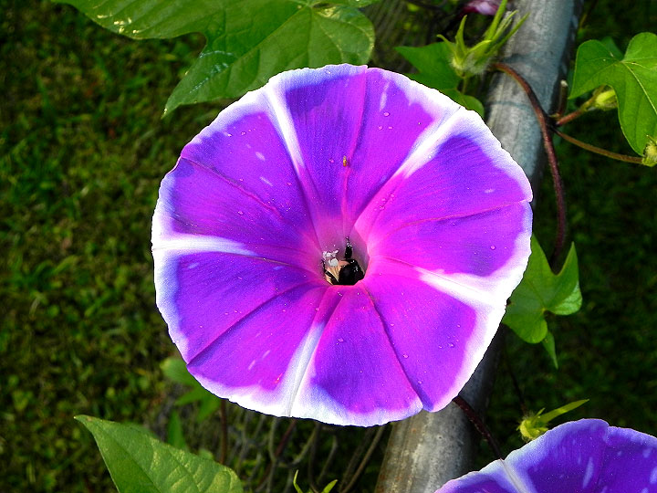 24sN-DSCN0044