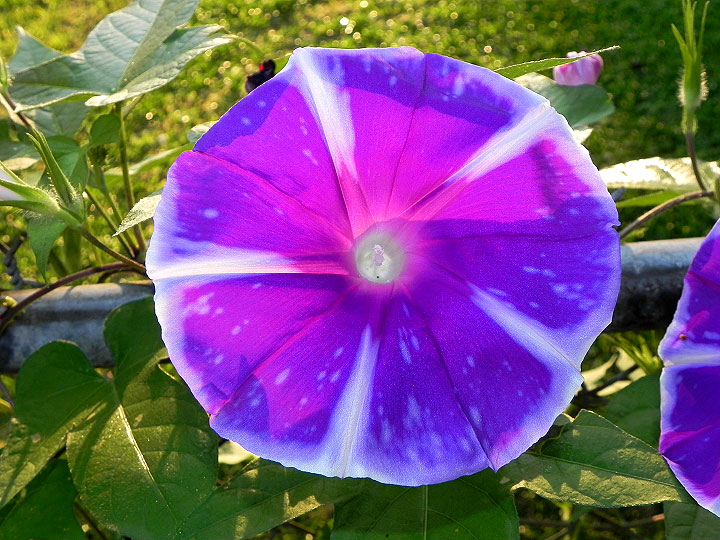 24sN-DSCN0148