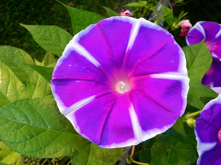 24sN-DSCN0149