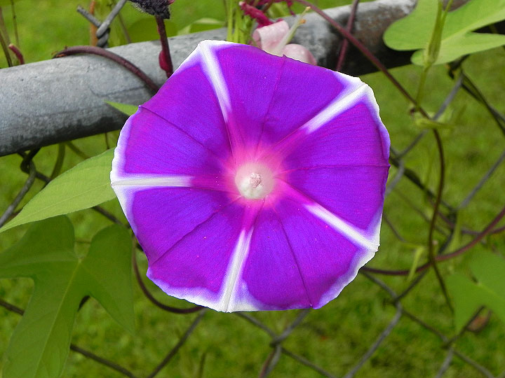 24sN-DSCN0567