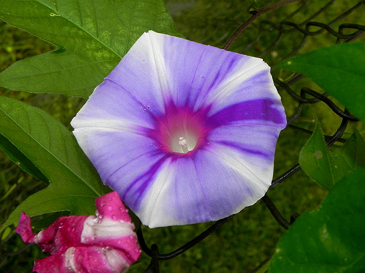 24sN-DSCN9902