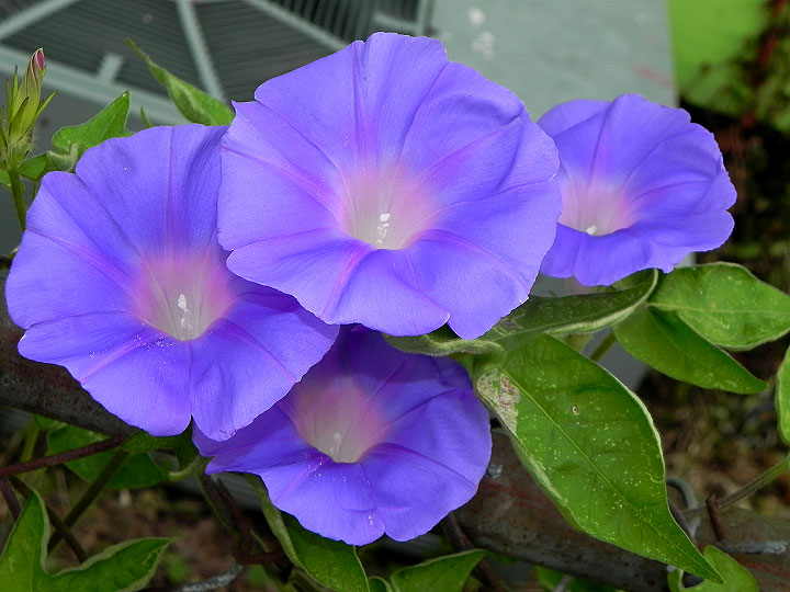 3-10-DSCN2377
