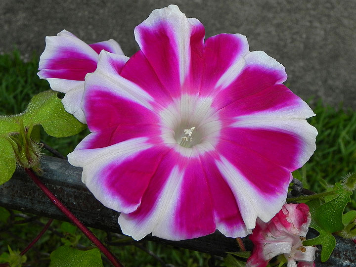 3-16-DSCN6763