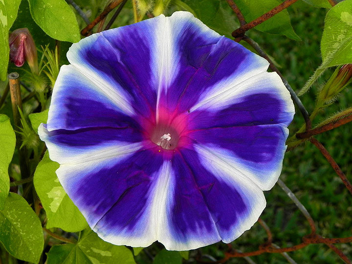 3-17-DSCN6266