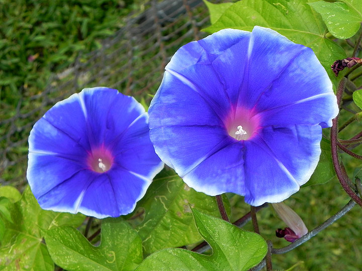 3-22-DSCN9645