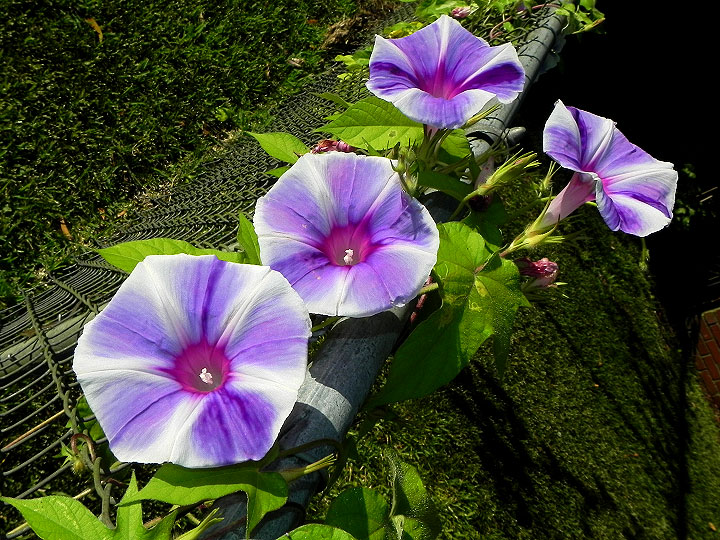 3-24-DSCN6575