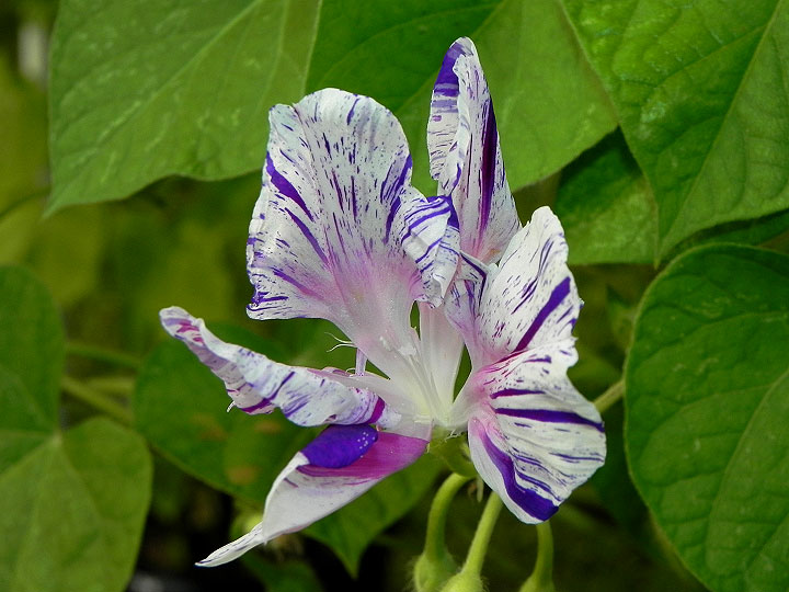 3-34e-DSCN7082