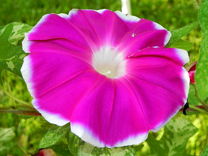 3-41w-DSCN1302