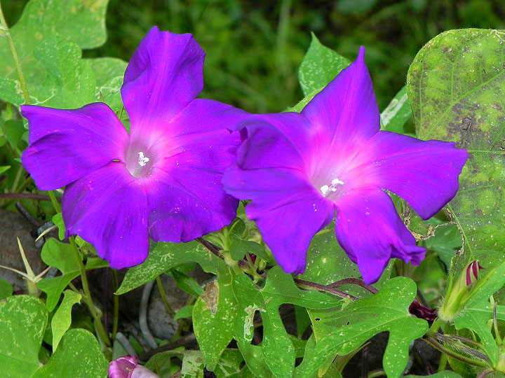 3-9-DSCN4902