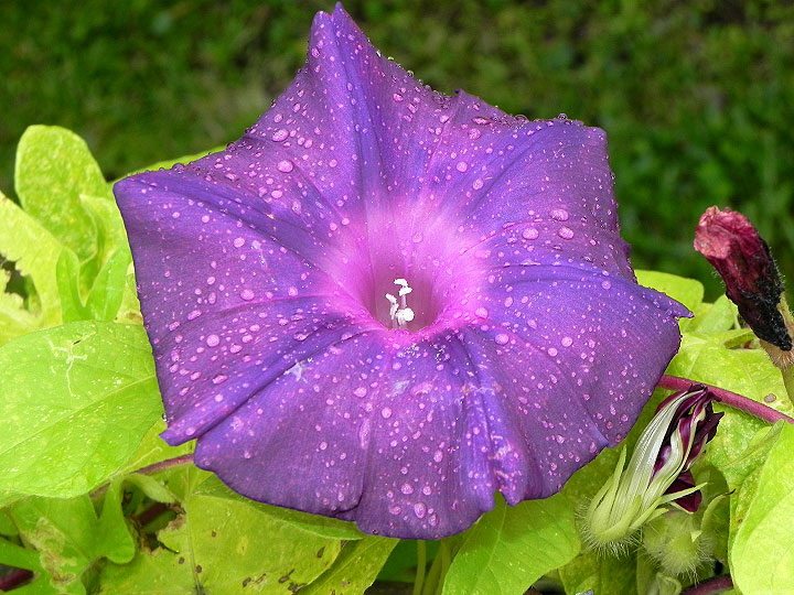 3-9-DSCN7954