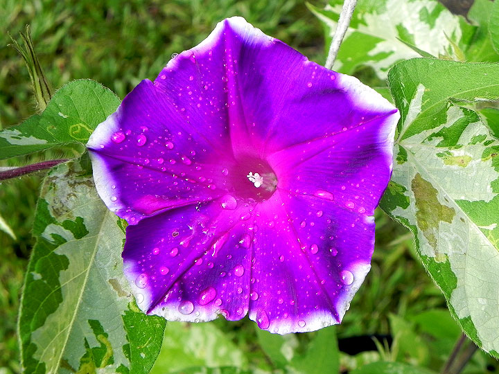 3-DSCN4653_01