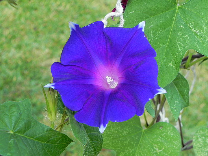 30w-DSCN9215