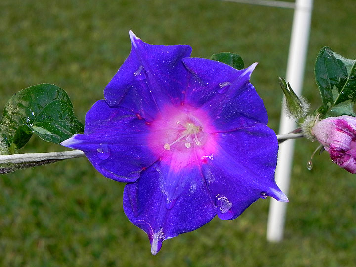 33wN-DSCN3758