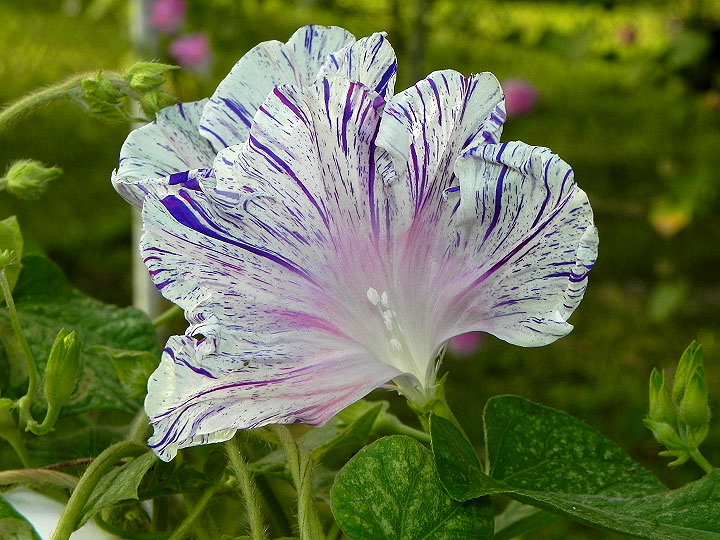 34e-DSCN4246