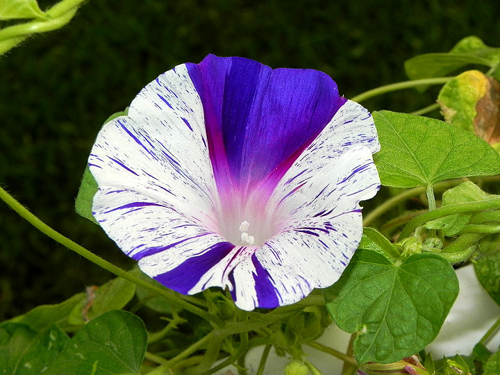 34e-DSCN5455_01