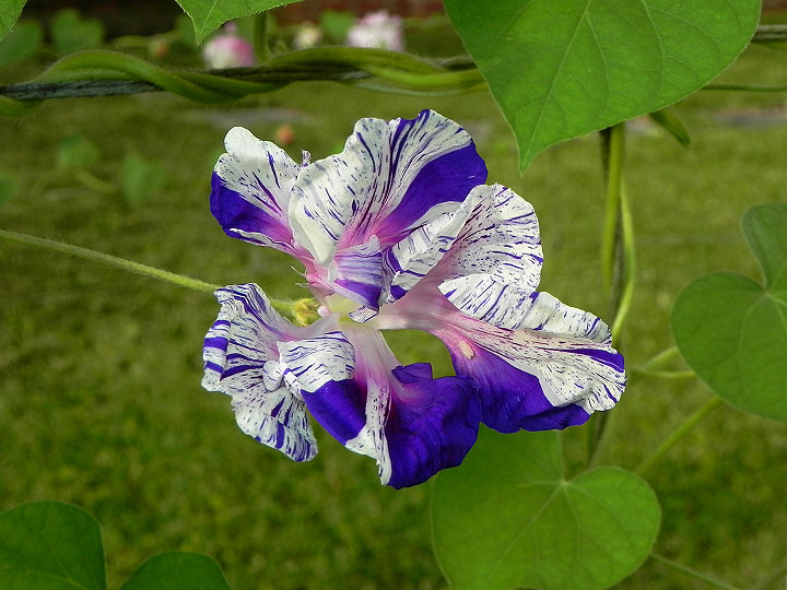 34e-DSCN6164