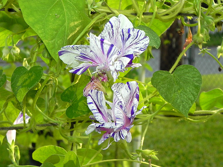 34e-DSCN9045
