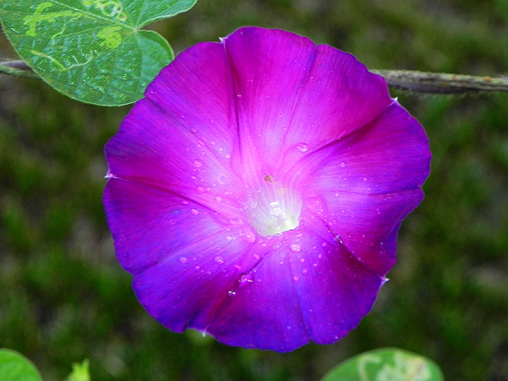 38-DSCN0307
