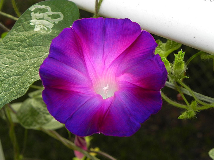 38-DSCN5935