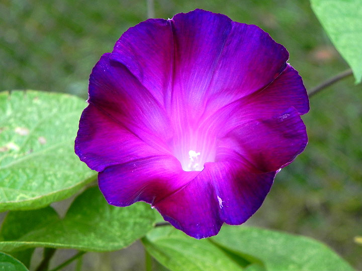 38-DSCN6500