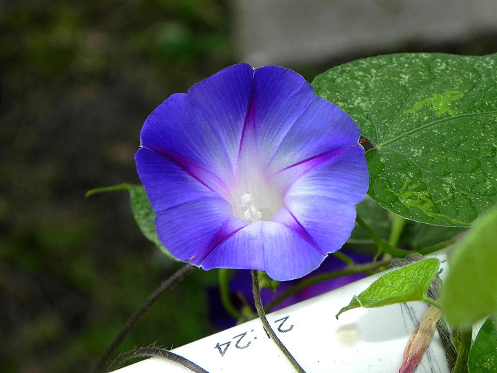 38-DSCN6741