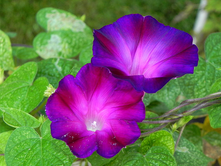 38-DSCN8968