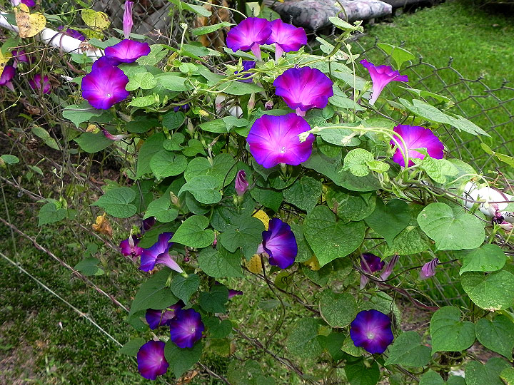 38-DSCN9282