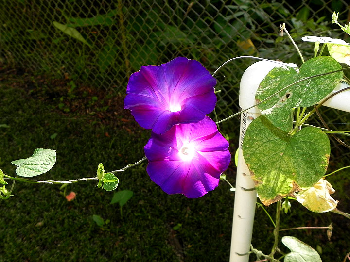 38-DSCN9311