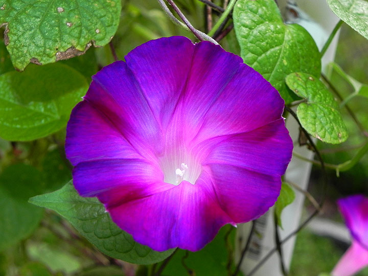 38-DSCN9746
