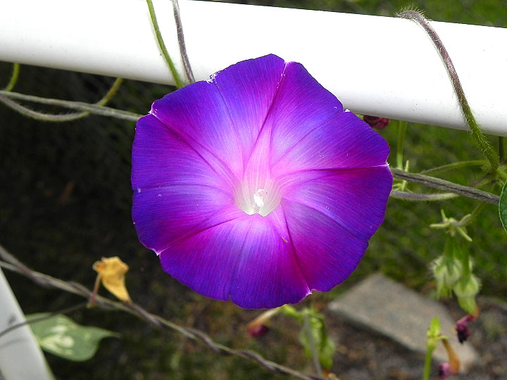 38-DSCN9762
