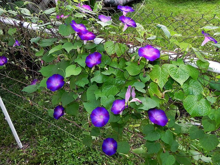 38-DSCN9846