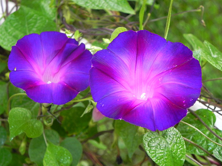 38-DSCN9878