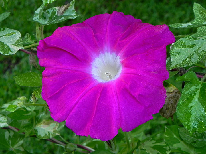 39w-DSCN0974