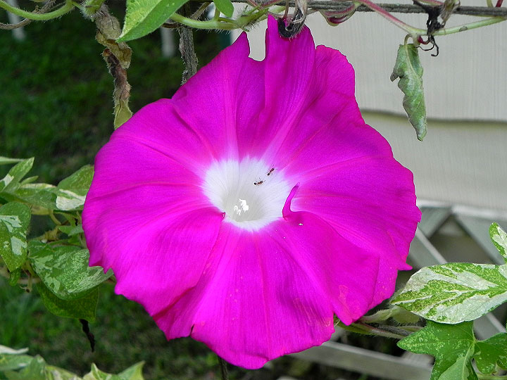 39w-DSCN2390