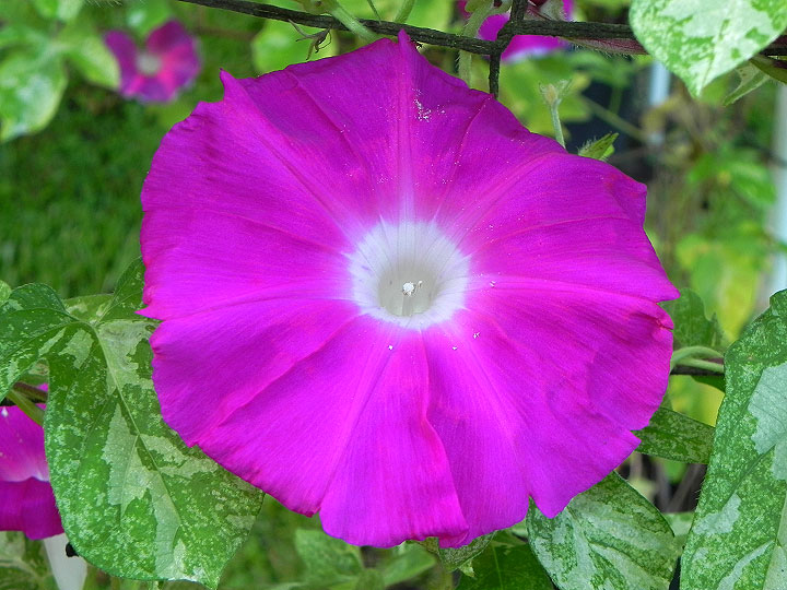 39w-DSCN3391