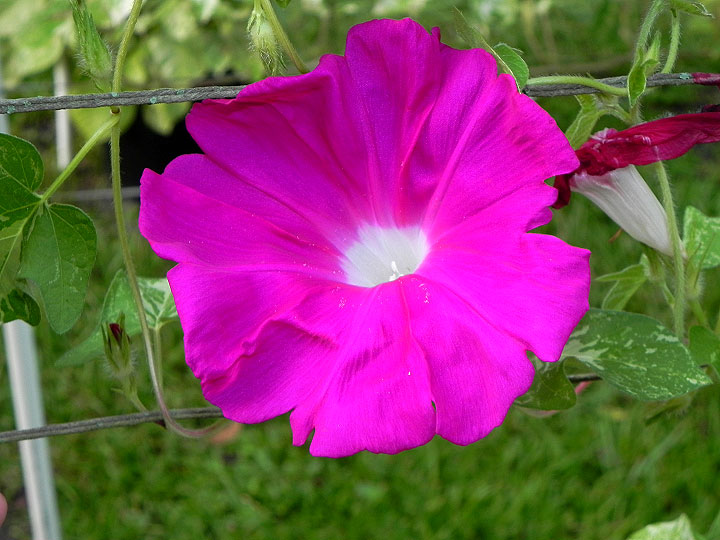 39w-DSCN5499_01