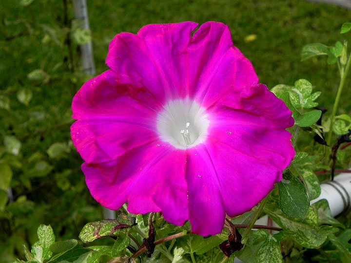 39w-DSCN5738