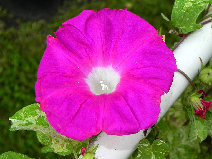 39w-DSCN8638