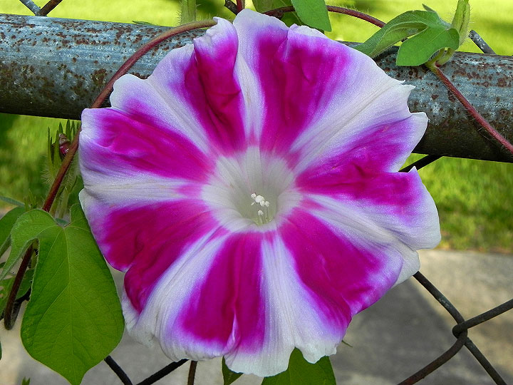 4-16-DSCN6263