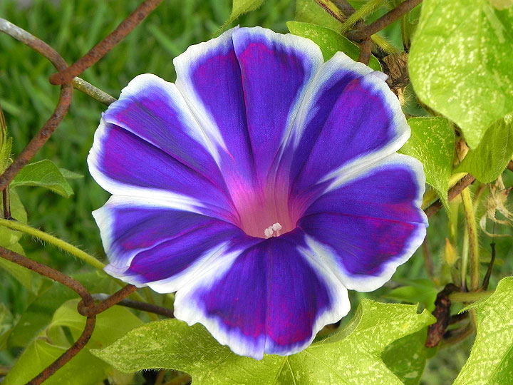 4-17-DSCN9367