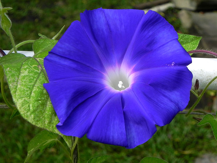4-DSCN1578