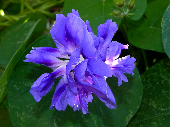 4-DSCN3387