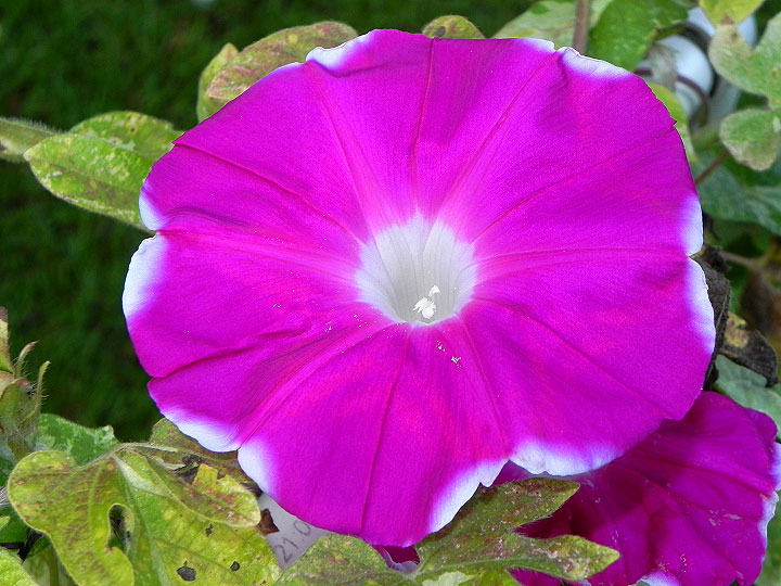 41w-DSCN7281