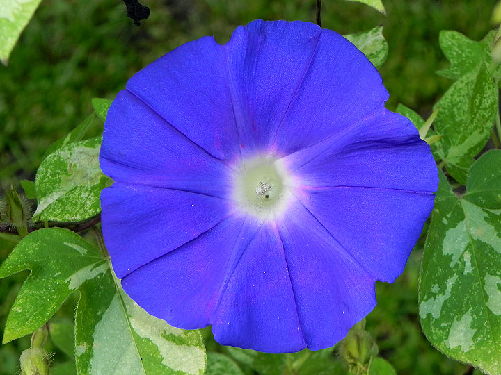 45w-DSCN4030