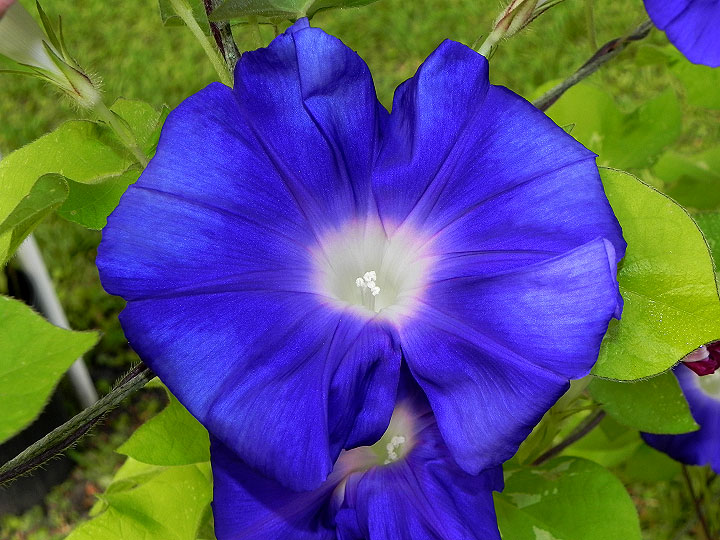 45w-DSCN6926