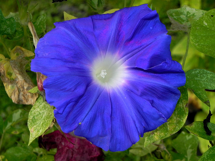 45w-DSCN7064